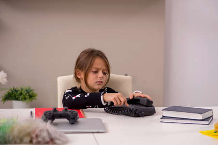 Young little girl doing housework at homeの写真素材