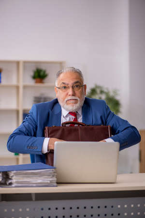 Old male employee working in the officeの写真素材