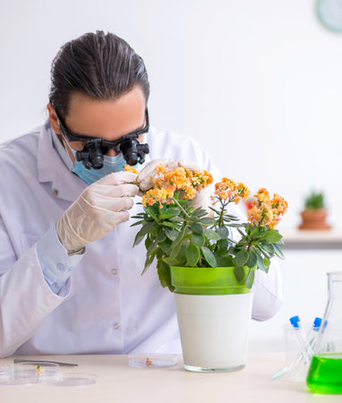 Young male chemist working in the labの写真素材