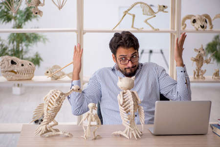 Young male paleontologist examining ancient animals at lab