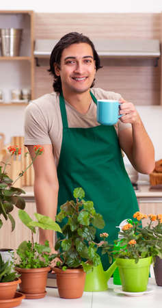 Young handsome man cultivating flowers at homeの写真素材