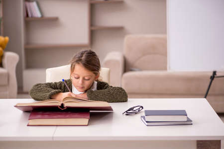 Young little girl studying at homeの写真素材