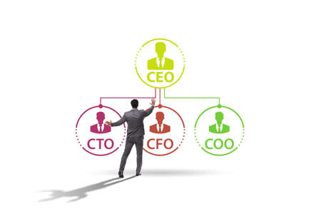 Illustration of organisation chart with various executivesの写真素材