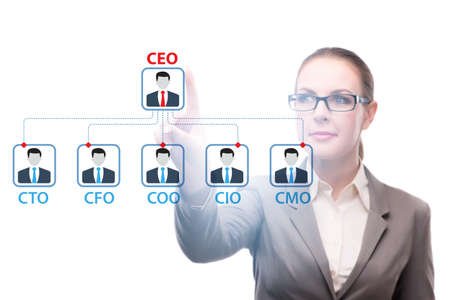 Businesswoman in the organisation chart conceptの写真素材