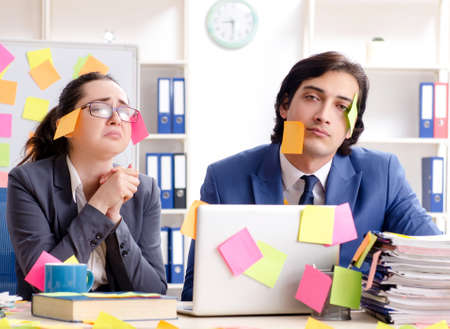 Two colleagues employees working in the officeの写真素材