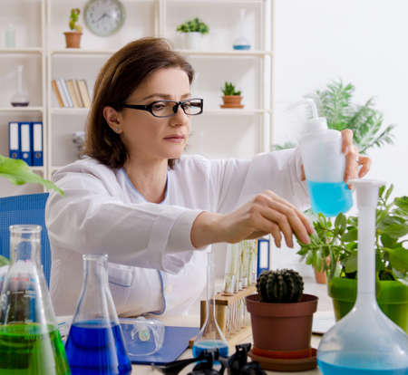 Old female biotechnology chemist working in the labの写真素材
