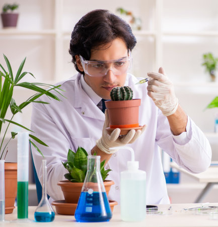 Biotechnology chemist working in labの写真素材
