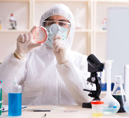 The young handsome chemist working in the labの写真素材