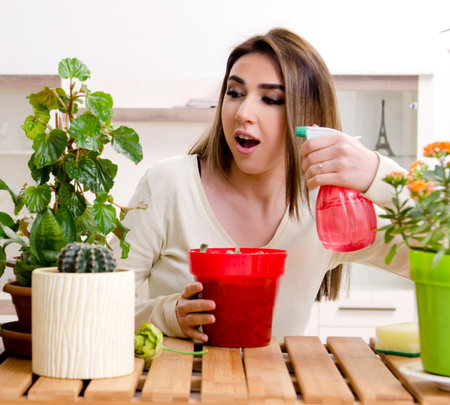 Young female gardener with plants indoorsの写真素材