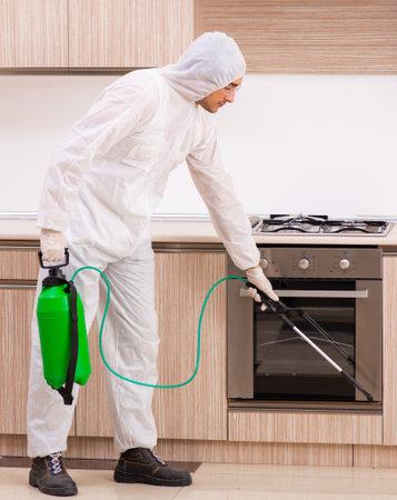 Professional contractor doing pest control at kitchenの写真素材