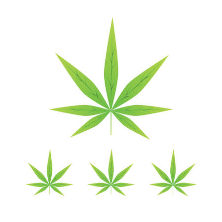 Cannabis leaves over white backgroundのイラスト素材