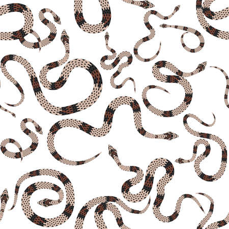 Beautiful seamless pattern with snakes on white. Vector illustration. eps10のイラスト素材