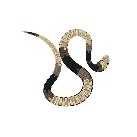 Reptile snake or serpent flat vector icon for animal apps and websites eps10