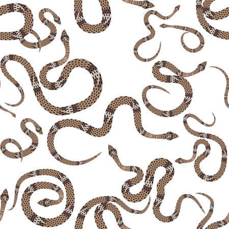 Beautiful seamless pattern with snakes on white. Vector illustration. eps10のイラスト素材
