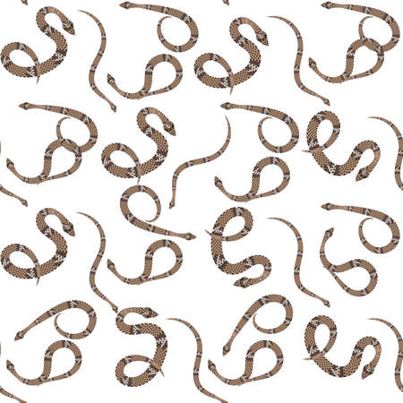 Snake seamless pattern on white background. Vector illustration. eps 10のイラスト素材