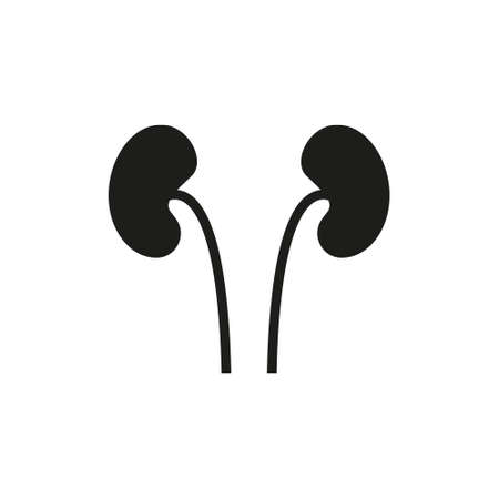 Kidneys flat icon. Single high quality symbol of human body for web design or mobile app.のイラスト素材