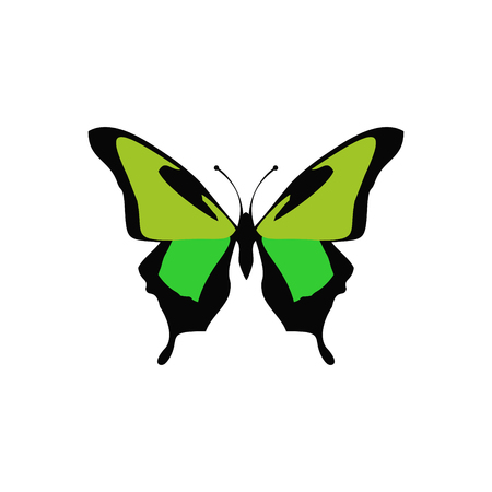 Butterflies vector iconのイラスト素材