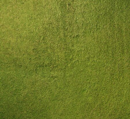 Green grass background textureの写真素材