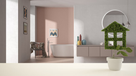 Wooden table, desk or shelf with potted grass plant, house keys and 3D letters home sweet home, over...
