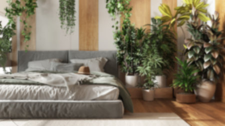 Blurred background, home garden, minimal bedroom. Close-up, bed, parquet floor and many houseplants. Urban jungle interior design. Biophilia conceptの写真素材