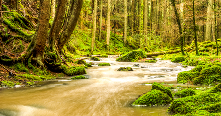high water in black forrest creekの写真素材