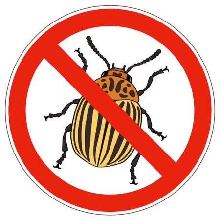 Vector illustration of forbidden sign with colorado beetle isolated on white background