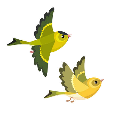 Vector illustration of cartoon flying European Siskin pair isolated on white backgroundのイラスト素材