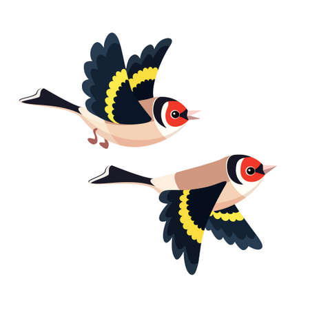 Vector illustration of cartoon flying European Goldfinch pair isolated on white backgroundのイラスト素材