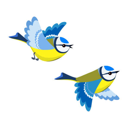 Vector illustration of flying Blue Tit isolated on white backgroundのイラスト素材