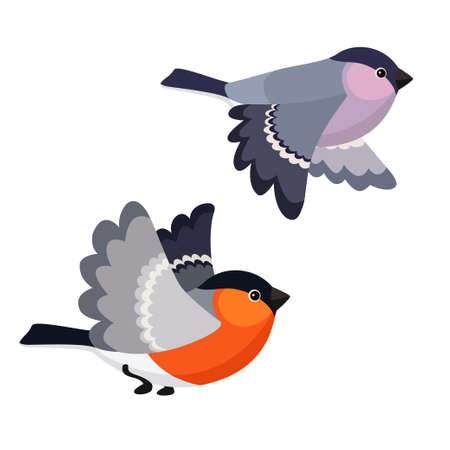 Vector illustration of cartoon flying bullfinches isolated on white backgroundのイラスト素材
