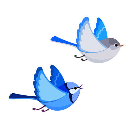 Vector illustration of cartoon flying Splendid Fairy Wren pair isolated on white backgroundのイラスト素材