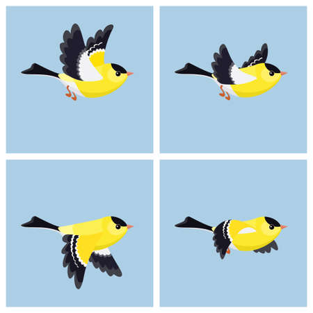 Vector illustration of cartoon flying American Goldfinch (male) sprite sheet. Can be used for GIF animationのイラスト素材
