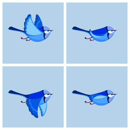 Vector illustration of cartoon flying Splendid Fairy Wren (male) sprite sheet. Can be used for GIF animationのイラスト素材