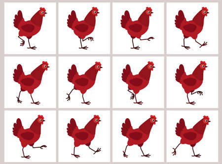 Walking red hen sprite sheet isolated on white background. Vector illustration. Can be used for GIF animationのイラスト素材