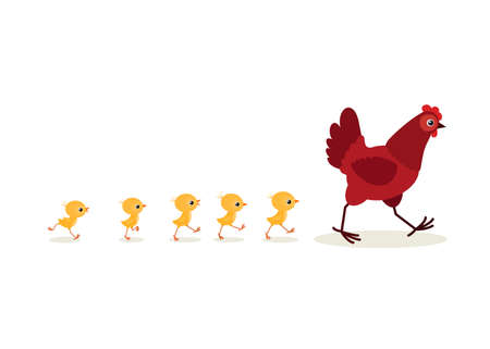 Vector illustration of walking red hen and chicks isolated on white backgroundのイラスト素材