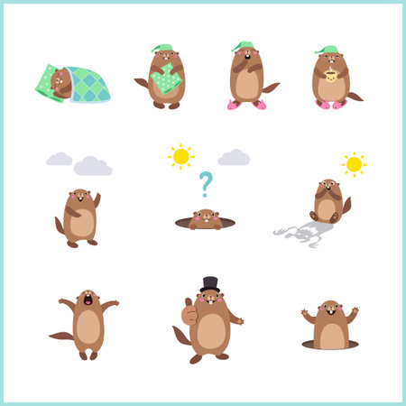 Set of cute cartoon Groundhog in various poses. Vector illustrationのイラスト素材