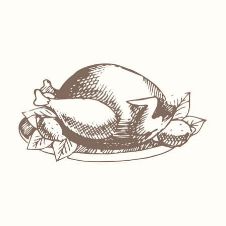 Chicken. Hand drawing. Vector illustration for registration of printed products, web design, surfacesのイラスト素材