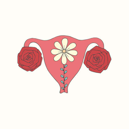 Uterus. Female body. Hand drawing. Vector illustrationの写真素材