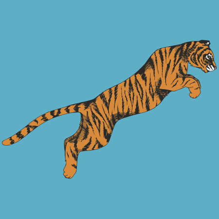 Tiger in a jump. Vector illustration. Hand drawing.のイラスト素材