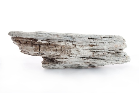 a pice of driftwood as banner with copy space, on whiteの写真素材