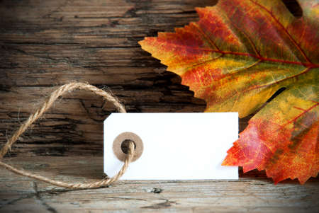 Background with an Empty White Tag with Copy Space and a Colorful Autumn Leaf, on Woodの写真素材