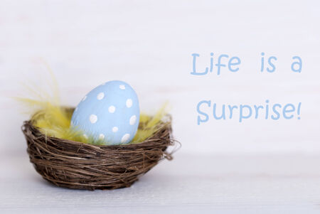 One Blue Dotted Easter Eggs In Easter Basket Or Nest On White Wooden Background With Life Quote Life...