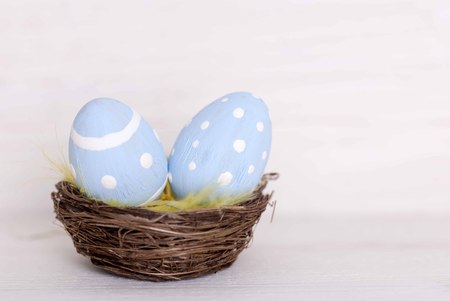 Two Easter Eggs In A Nest With Feathers Which Are Blue Dotted And Striped On Wooden Vintage Background For Copy Space Free Text Or Your Text Here For Happy Easter Greetingsの写真素材