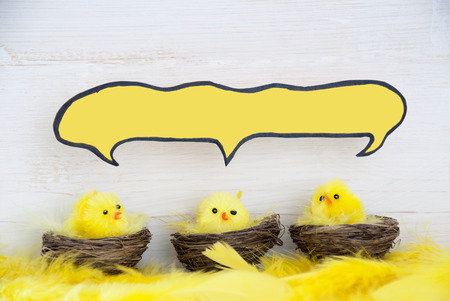 Three Sitting Easter Chicks In Easter Baskets Or Nest With Yellow Feathers On White Wooden Background With Feathers With Comic Speech Balloon With Copy Space Free Text Or Your Text Here For Advertisement Used As Easter Decoration Or Easter Greetingsの写真素材