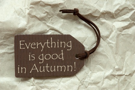One Brown Label Or Tag With Brown Ribbon On Crumpled Paper Background With English Life Quote Everything Is Good In Autumn Vintage Or Retro Styleの写真素材