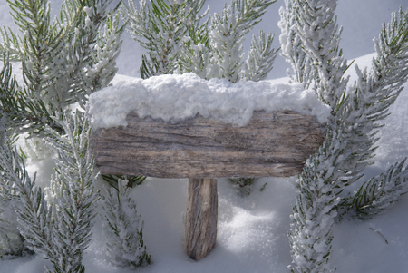 Wooden Christmas Sign With Snow And Fir Tree Branch In The Snowy Forestの写真素材