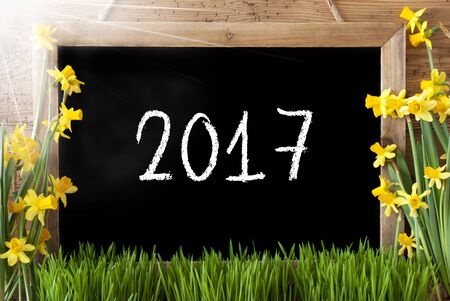 Blackboard With English Text 2017 For Happy New Year Or Spring Greeting. Sunny Spring Flowers Nacissus Or Daffodil With Grass. Rustic Aged Wooden Background.の写真素材