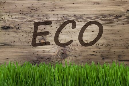 English Text Eco. Spring Season Greeting Card. Aged Wooden Background With Gras.の写真素材