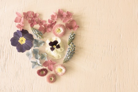 Shiny Spring Flower Blooms, Hear Shape, Copy Sapceの写真素材