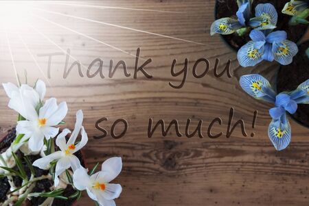 Sunny Crocus And Hyacinth, Text Thank You So Muchの写真素材